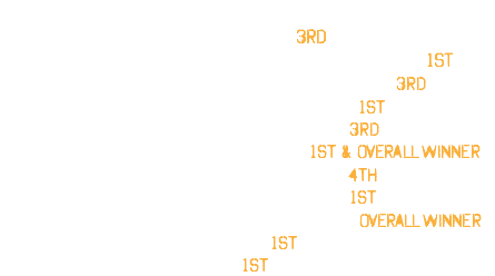  2015 NABBA BRITAIN FINALS CLASS 1 3RD 2013 UKBFF WEST MIDLANDS SUPER-HEAVYWEIGHTS 1ST 2011 UKBFF British FINALS SUPER-HEAVYWEIGHTS 3RD 2011 UKBFF MIDLANDS SUPER-HEAVYWEIGHTS 1st 2008 UKBFF British FINALS HEAVYWEIGHTS* 3RD 2008 UKBFF MIDLANDS HEAVYWEIGHTS* 1st & OVERALL WINNER 2007 UKBFF British FINALS HEAVYWEIGHTS* 4TH 2004 EPF Mr. Britain SUPER-HEAVYWEIGHTS 1st 2000 Tournament of CHAMPIONS CALIFORNIA OVERALL WINNER 2000 Nabba Junior Mr. Universe 1st 1998 EFBB Junior Mr. Britain 1st